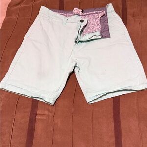 Men's Mint Green Flat Front Shorts
